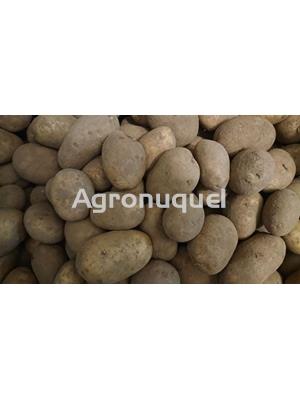 20 kg PATATAS - Imagen 1