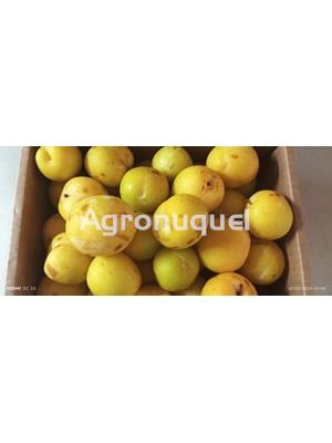 CIRUELAS AMARILLAS - Imagen 1
