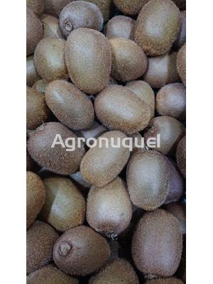 KIWI ECOLÓGICO - Imagen 1