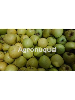 MANZANA GOLDEN ECOLÓGICA - Imagen 1