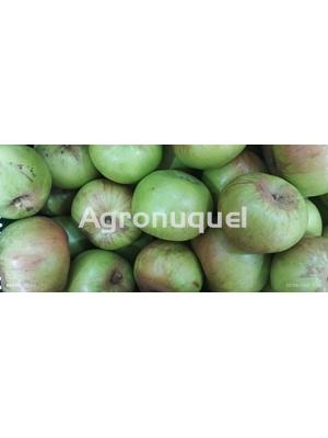 MANZANA PRÍNCIPE - Imagen 1