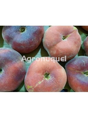 PARAGUAYO - Imagen 1