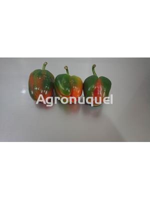 PIMIENTO MORRON ECOLOGICO - Imagen 2