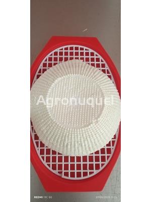 QUEIXO FRESCO DE SILLOBRE - Imagen 1